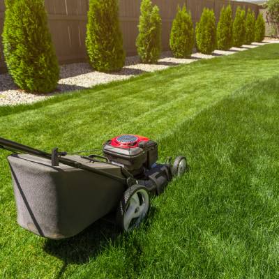 LAWN MOWING